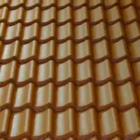 Pálená esovka (holandka)