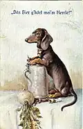 Německá pohlednice z roku 1917. Nápis v bavorštině: Dös Bier g´hört mei´m Herrle! Česky: Toto pivo patří mému páníčkovi! (napsáno tradičním bavorským pravopisem, ö značí zavřené e a ne ö spisovné němčiny).