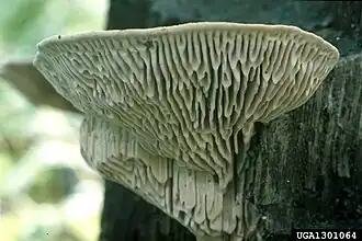 alternativní popis obrázku chybí