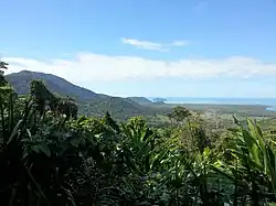 Národní park Daintree