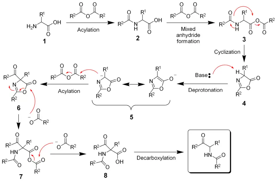 Mechanismus Dakinovy-Westovy reakce
