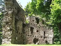 Pohled na zachovalou část hradu Dalečín v roce 2006