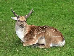 alternativní popis obrázku chybí