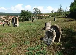 Dambořice, židovský hřbitov (1).jpg