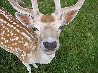 alternativní popis obrázku chybí