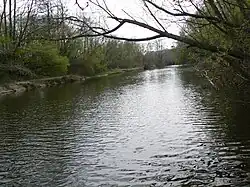 Danė po soutoku s potokem Purmalė