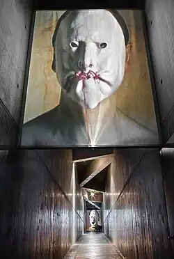 Daniel Pešta, Narcis, videoart, Dům Felixe Neussbauma, Osnabrück, 2011