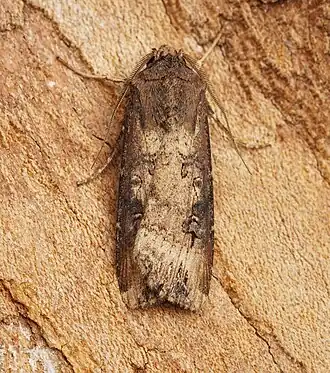 alternativní popis obrázku chybí