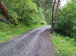 Příjezdová cesta do Dartla