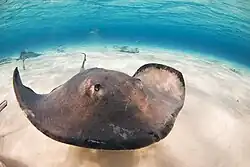 alternativní popis obrázku chybí