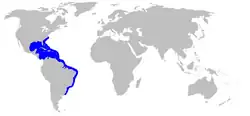 Areál rozšíření