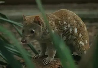 alternativní popis obrázku chybí