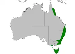 Areál rozšíření