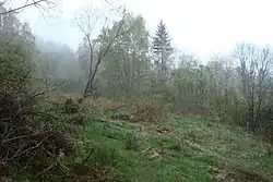 Datelovská strž v dubnu 2017