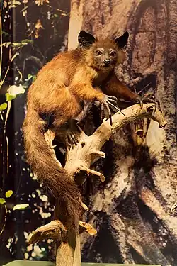 alternativní popis obrázku chybí