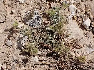 alternativní popis obrázku chybí