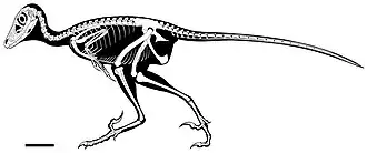 alternativní popis obrázku chybí