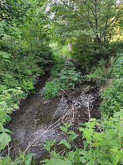 Davídka (největší přítok Lichničky)