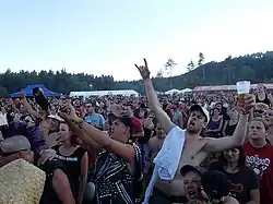 Dav na festivalu v roce 2013