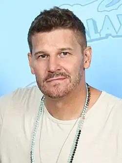 David Boreanaz (2012)