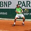 David Ferrer