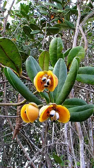 alternativní popis obrázku chybí