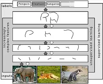 Vnitřní reprezentace obrazových dat na vzrůstajících úrovních abstrakce