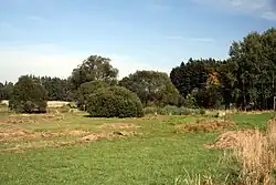 Pohled na podmáčenou louku tvořící přírodní památku