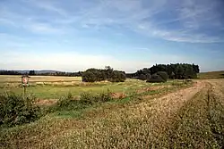 Pohled na chráněnou louku z přilehlého pole