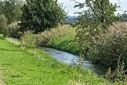 Dehtářský potok u Čejkovického rybníka