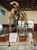 Deinotherium