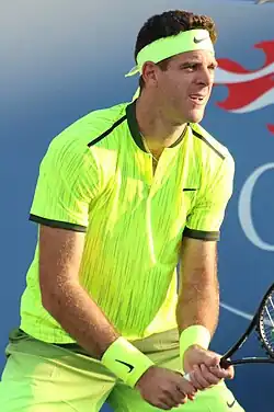 Juan Martín del Potro