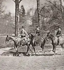 Jean I Delton: Fotografie koní, 1884