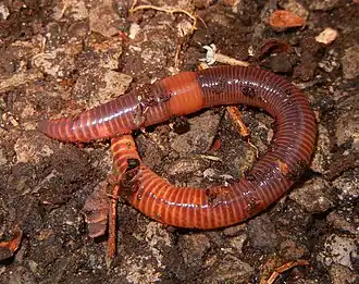 popis obrázku chybí