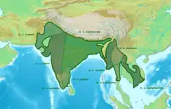 Areál rozšíření