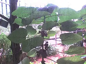 alternativní popis obrázku chybí