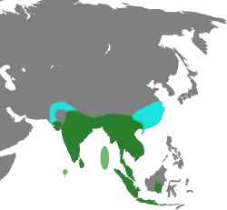 Areál rozšíření