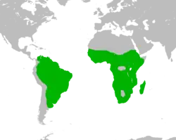 Areál rozšíření