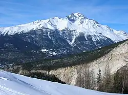 Dent Parrachée z jihu