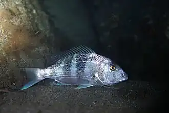 alternativní popis obrázku chybí