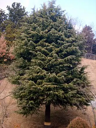 alternativní popis obrázku chybí