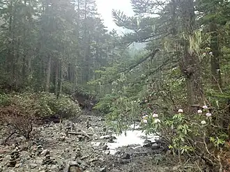 popis obrázku chybí