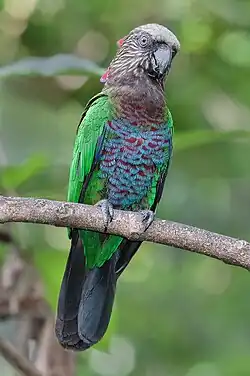 alternativní popis obrázku chybí