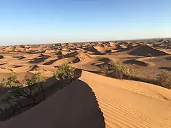 Písek v poušti na Sahaře
