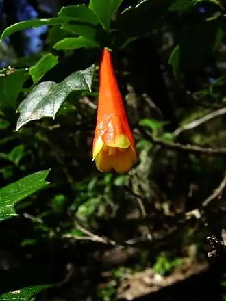 alternativní popis obrázku chybí