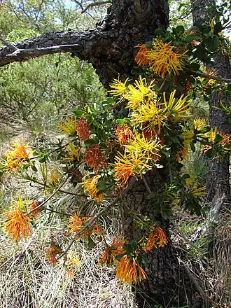 alternativní popis obrázku chybí