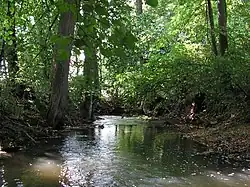 Říčka pod ústím Morašického potoka