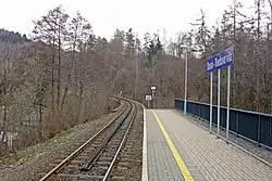 Desná-Riedlova vila