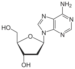 Deoxyadenosin