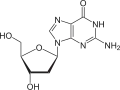 Deoxyguanosin